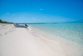 Abacos