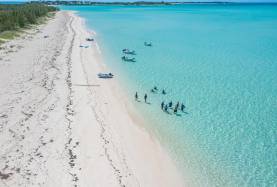 abacos