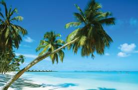 Sailing Charters