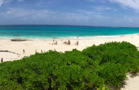 Abaco Nippers