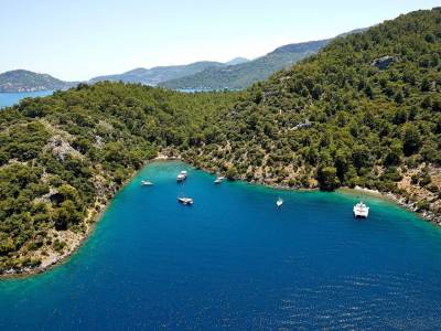 Turkey