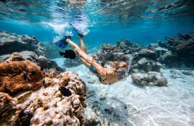 Snorkelling
