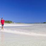 Abacos